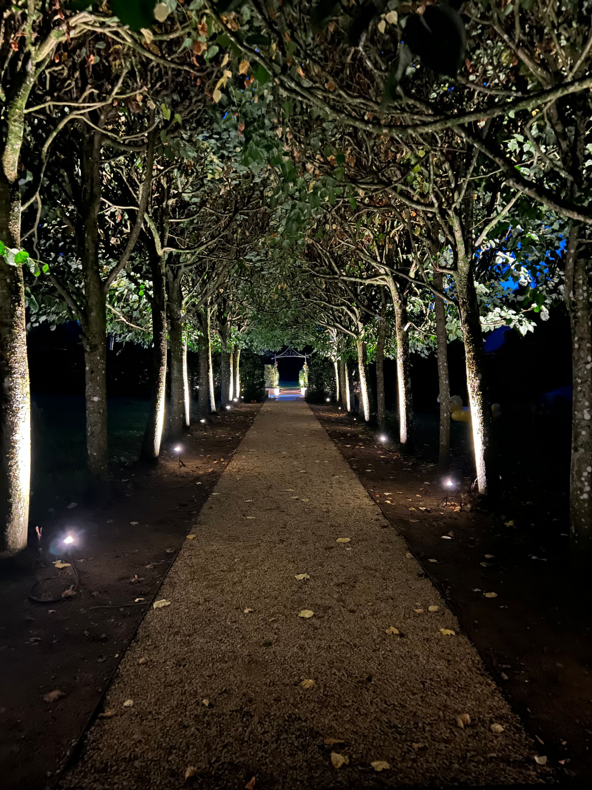 Garden Lighting East Grinstead