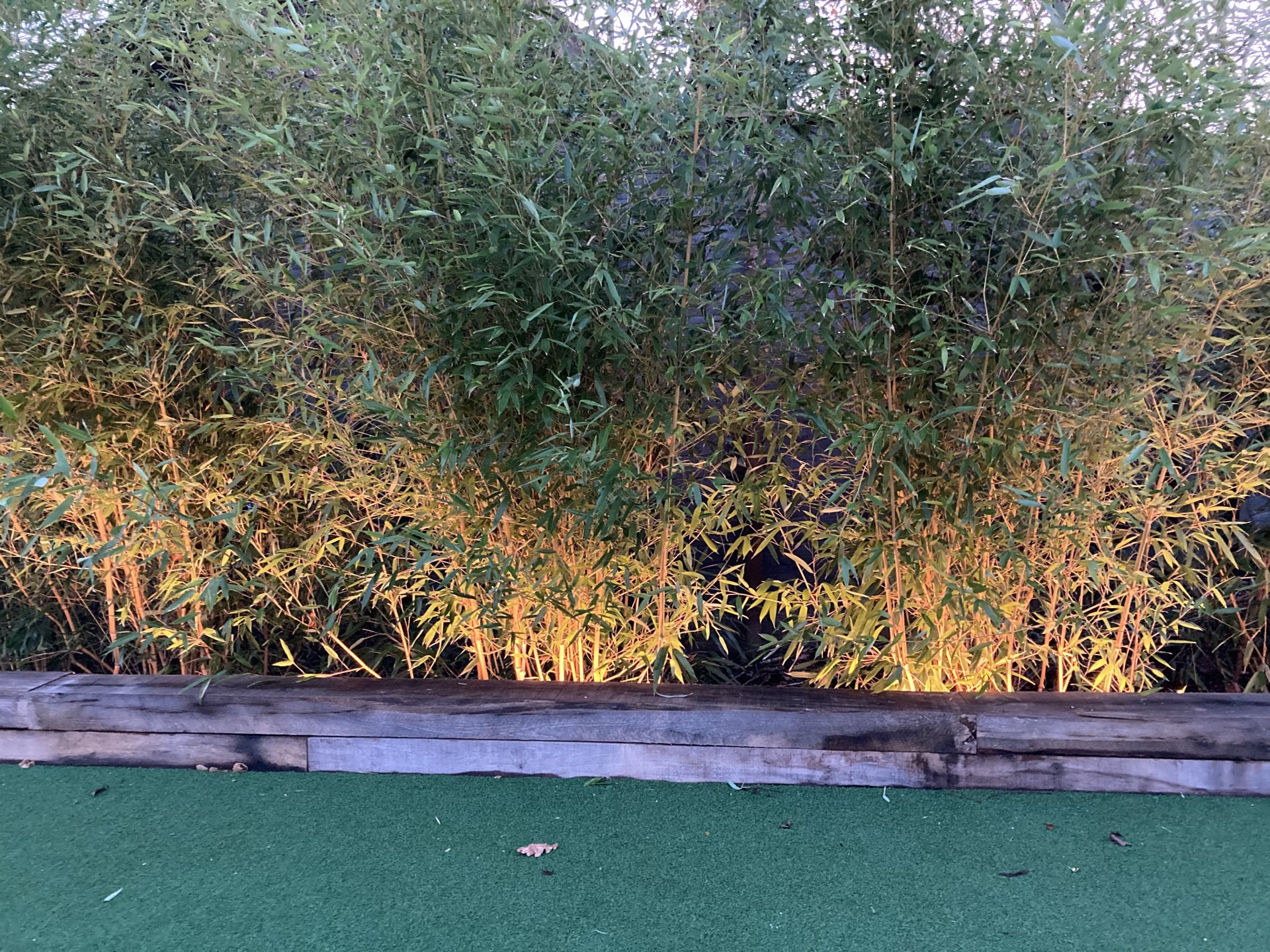 N LIGHTING - OUTDOOR FEATURE PLANTING