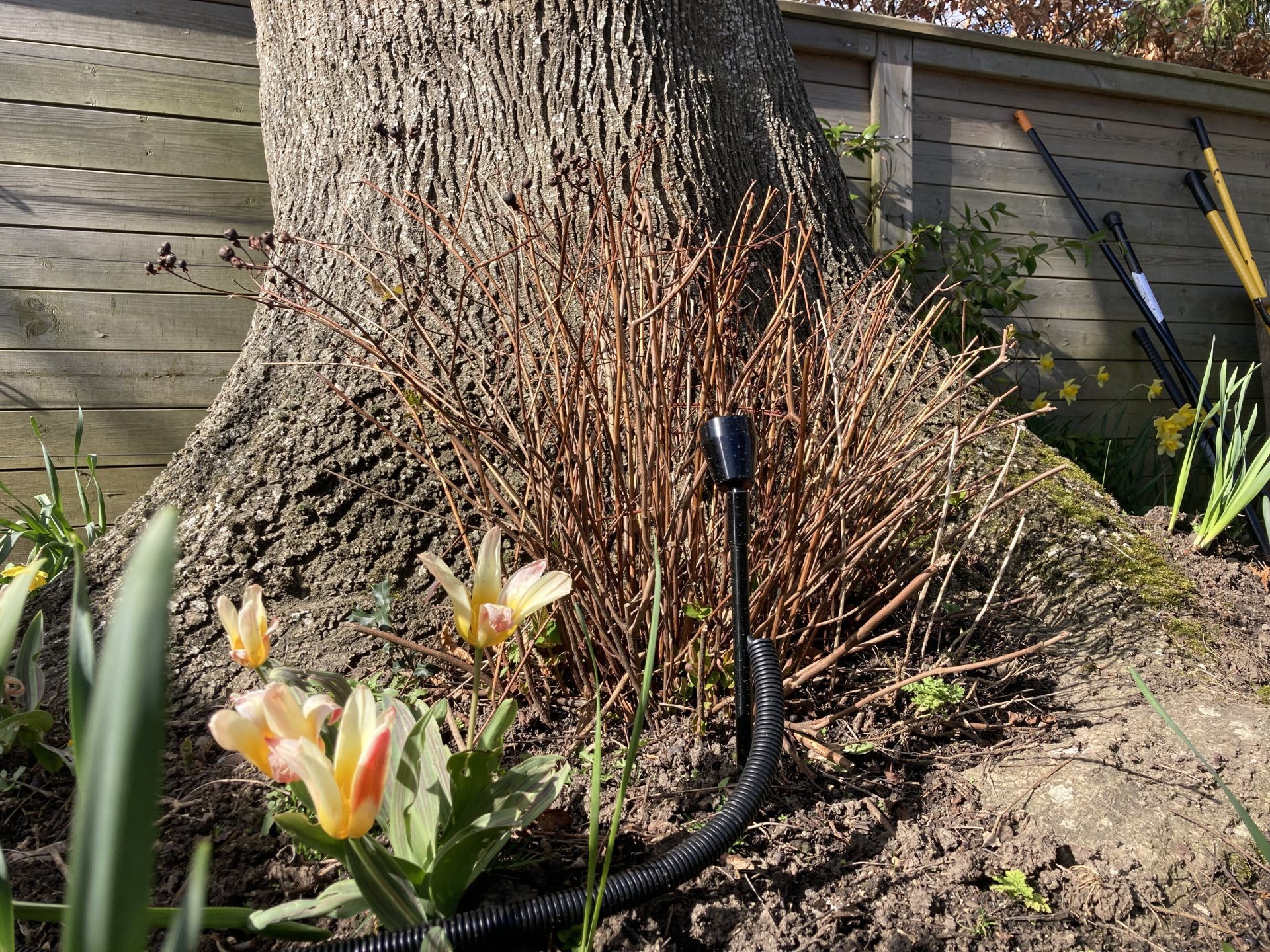 Spike Lights, Flower Bed Lights