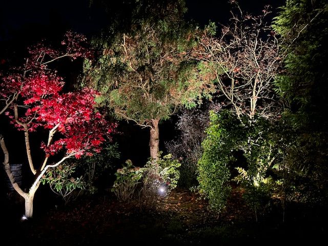 Garden Lighting Ideas East Grinstead