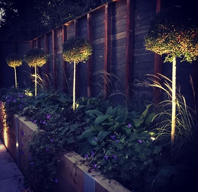 Spike Lights Installer