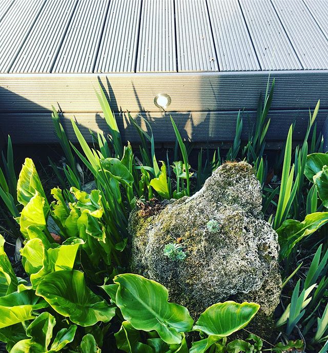 LEDs in composite decking,