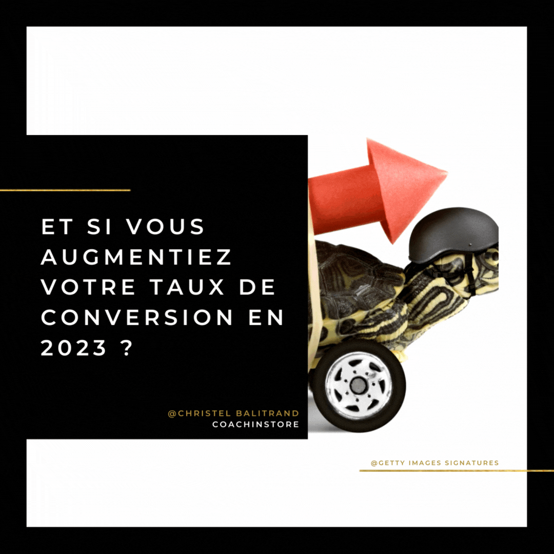 Pour optimiser votre stratégie numérique . Ils sont des leviers pour augmenter votre traffic et/ou sa conversion.