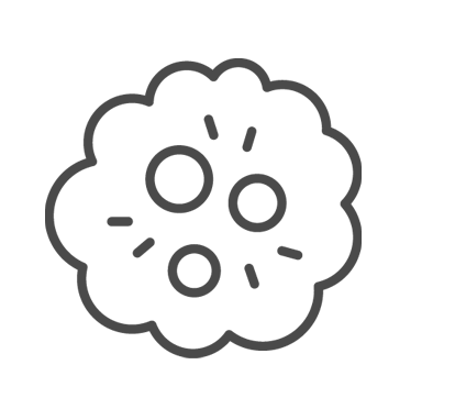 Viele Anhängerformen sind möglich! Viele Anhängerformen sind möglich!