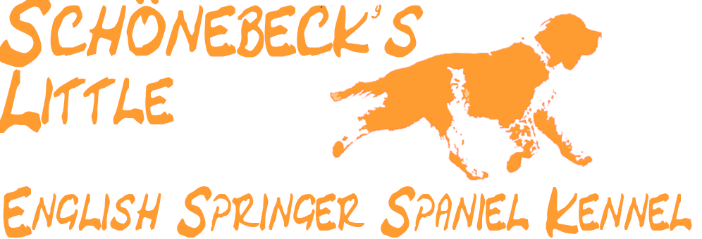 Schönebeck's Little ESP-Kennel Schönebeck's Little ESP-Kennel