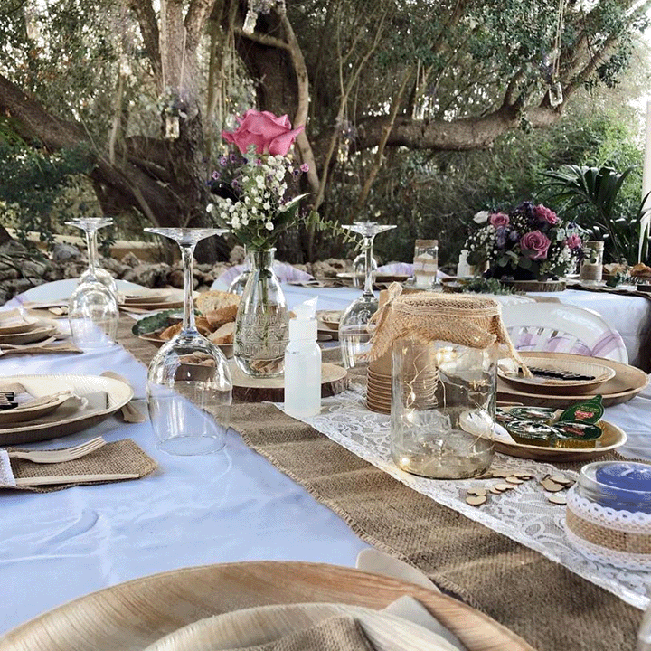 Organización Parcial