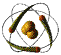 Atom Atom