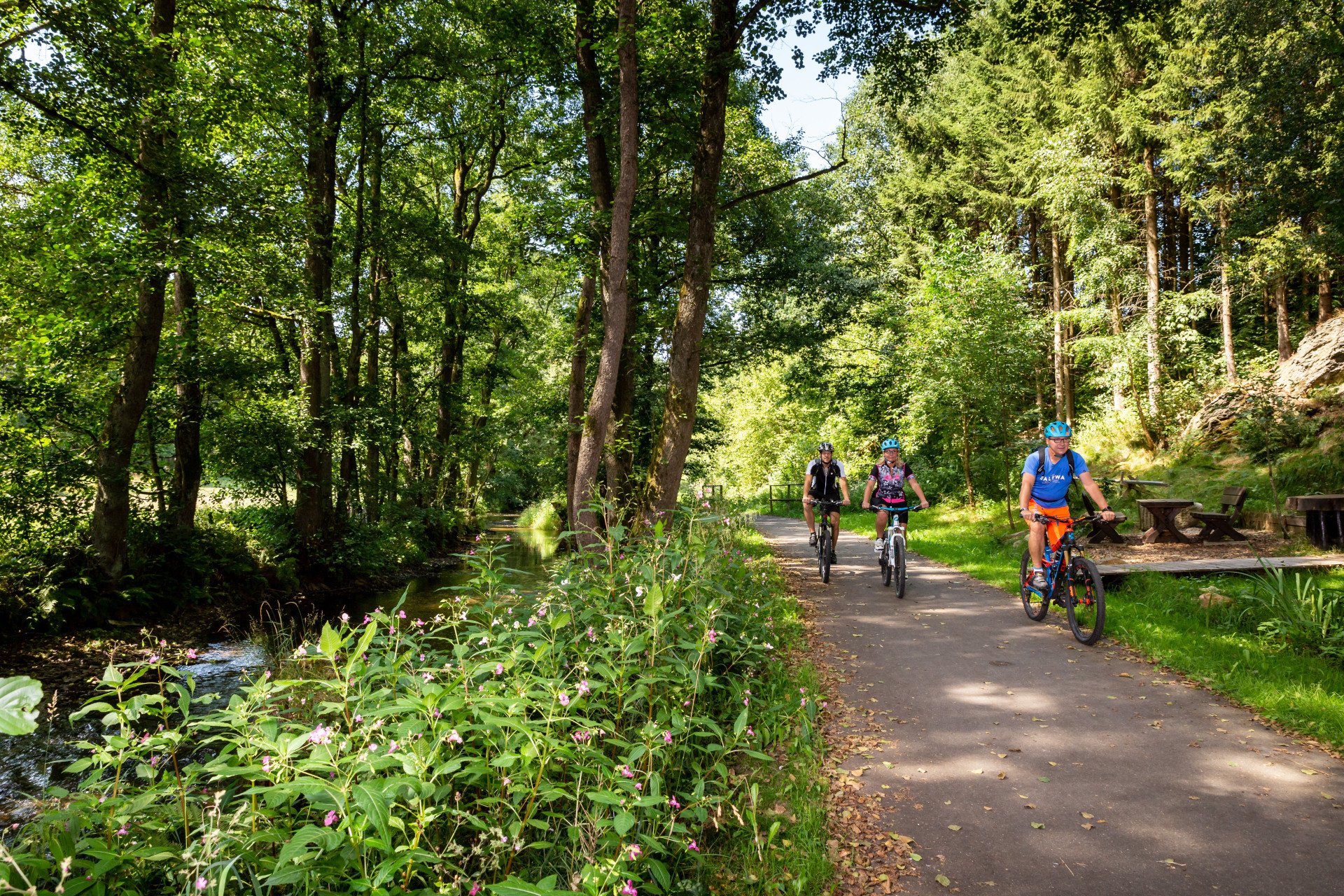 Steinwald, Radwege, Radfahren, Landkreis Tirschenreuth, Steinwald-Radweg, Fichtelnaab, Waldnaabtal, Steinwald-Allianz