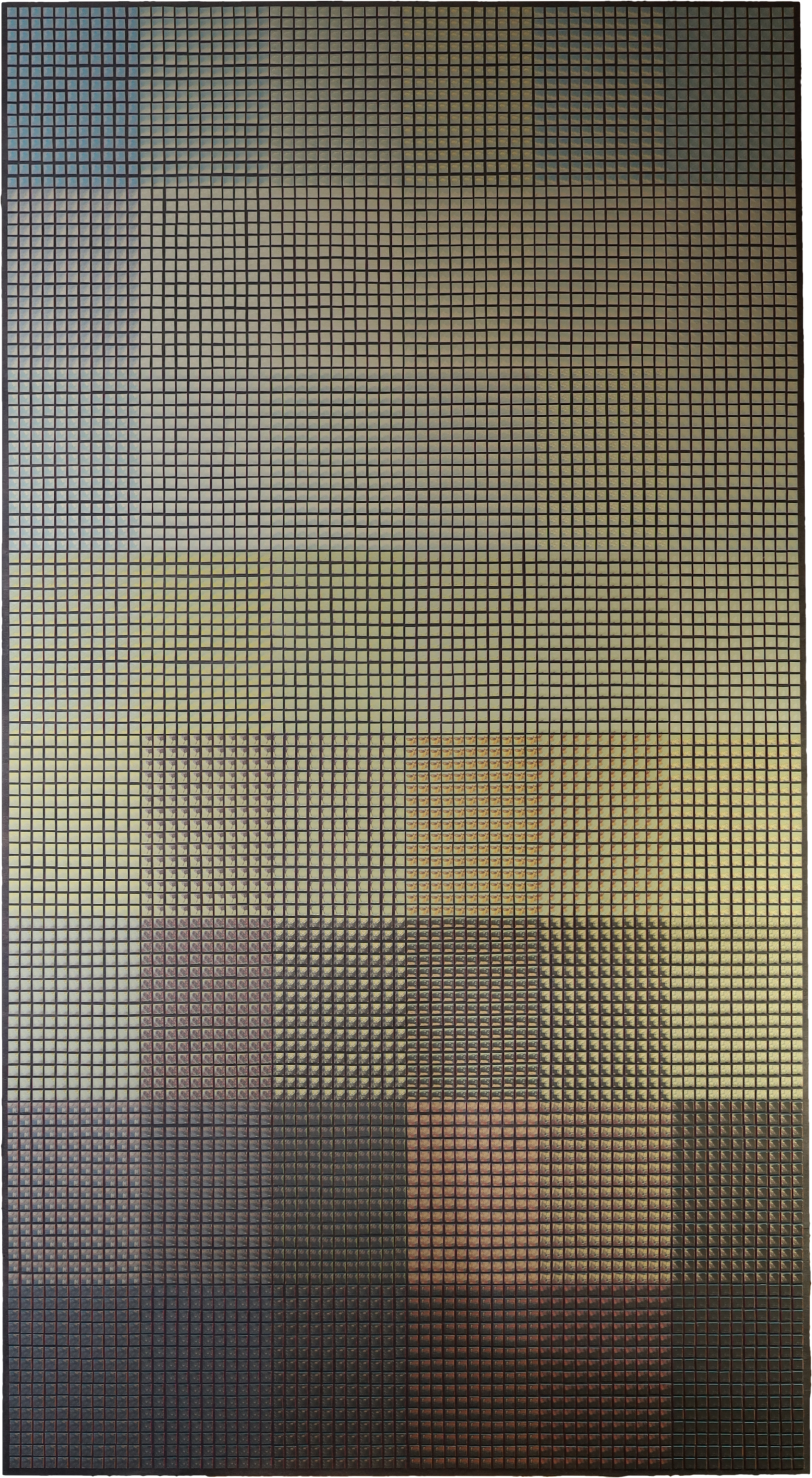 Collage aus 3800 Stückchen aus Odilons Redons Papillions. Collage von C. Schneider