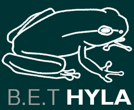 B.E.T HYLA