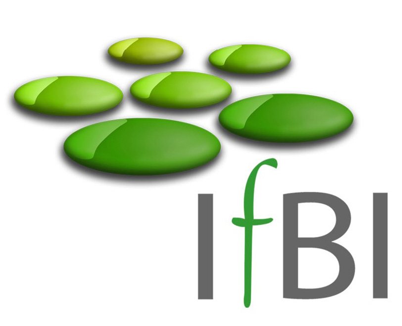 IfBI-Logo