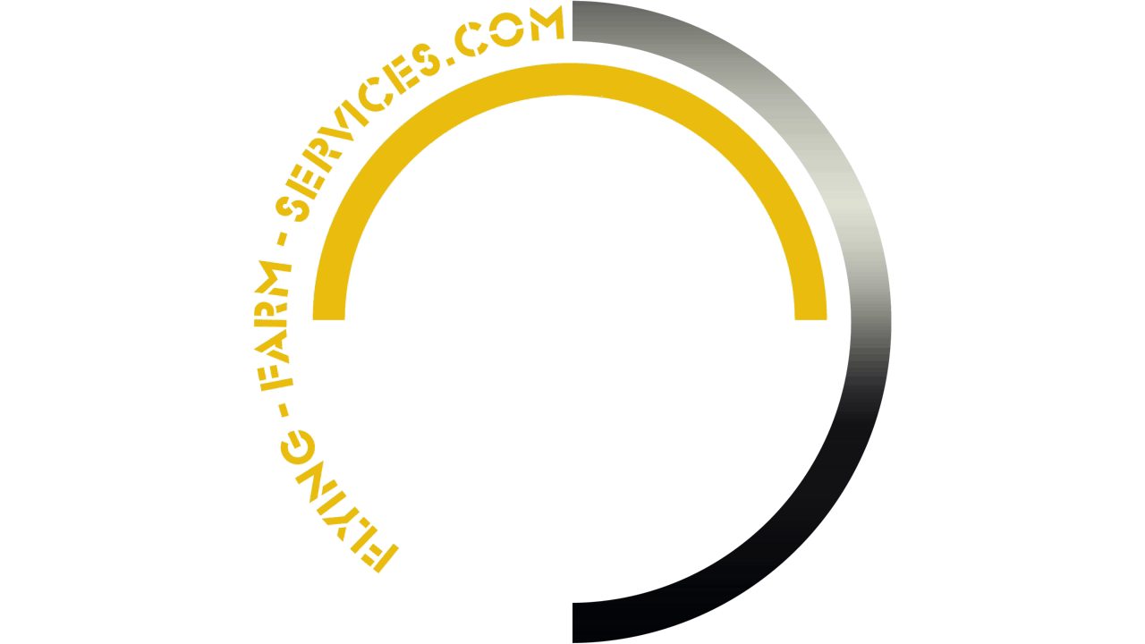 Logo FFS Namibia