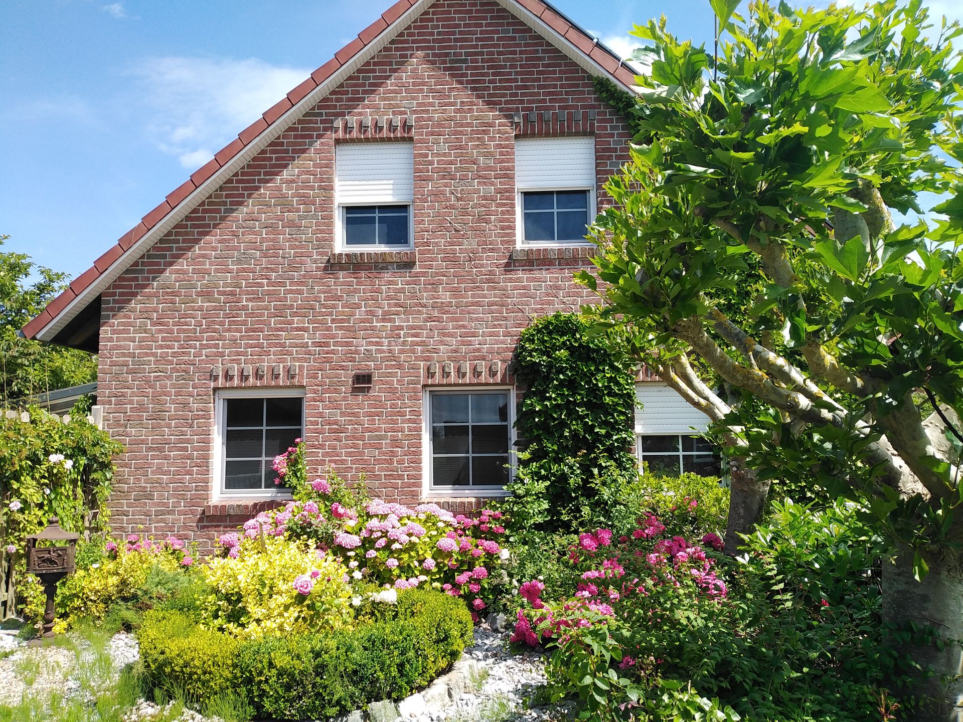 Friesenhaus Leo 1 Eingangsbereich Greetsiel mit Bäumen