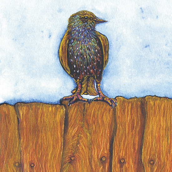 On the Fence - Fine Art Giclee Print by Brighton Artist Troy Ohlson - Created from Troys Original Watercolour Painting. All images are subject to Copyright