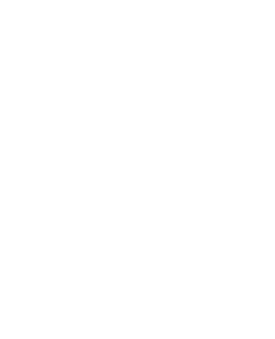 Timm Ahlf Logo
