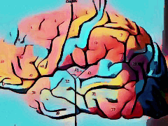 Gehirn neueste Behandlung Parkinson Gehirn brain