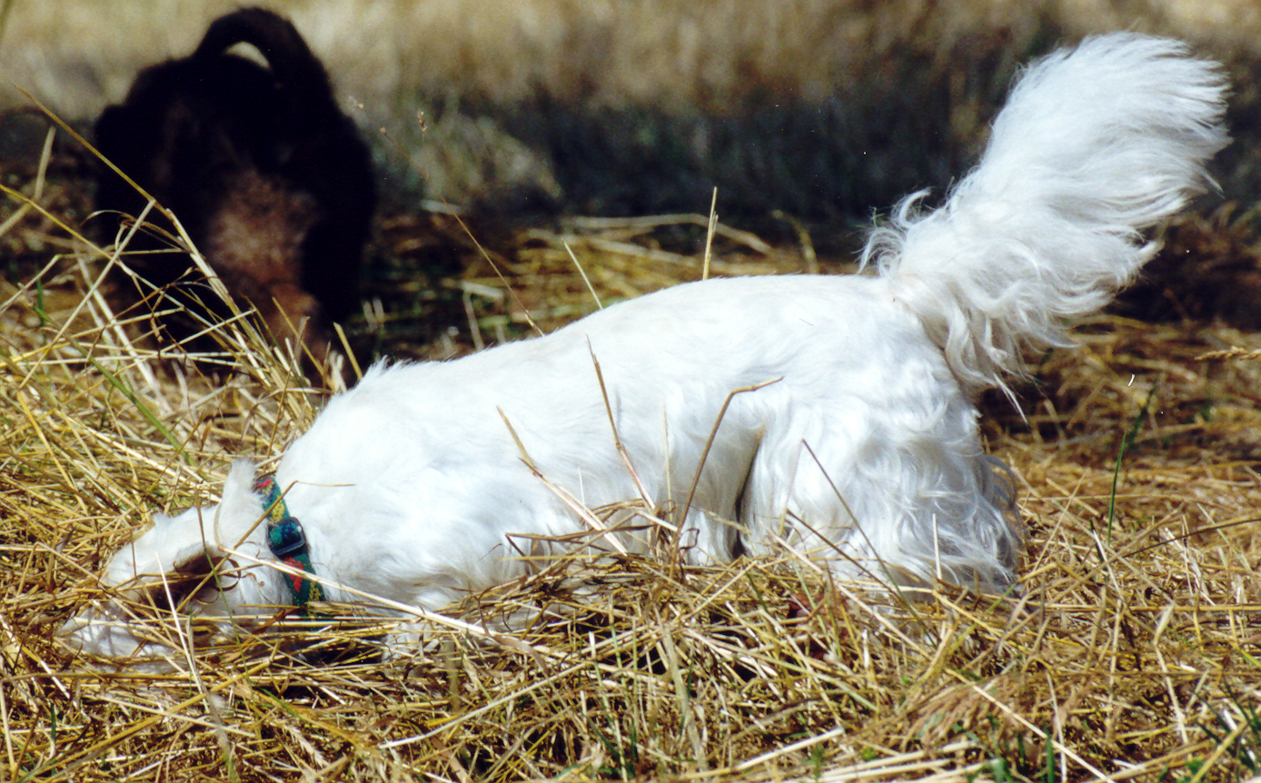 Am liebsten immer unter Tage