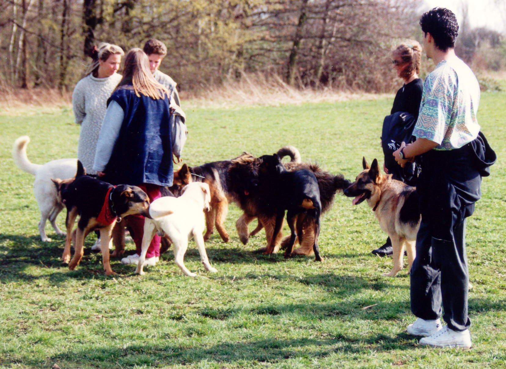 In der Buga Hunde treffen 1 Jahr alt mit Lucky