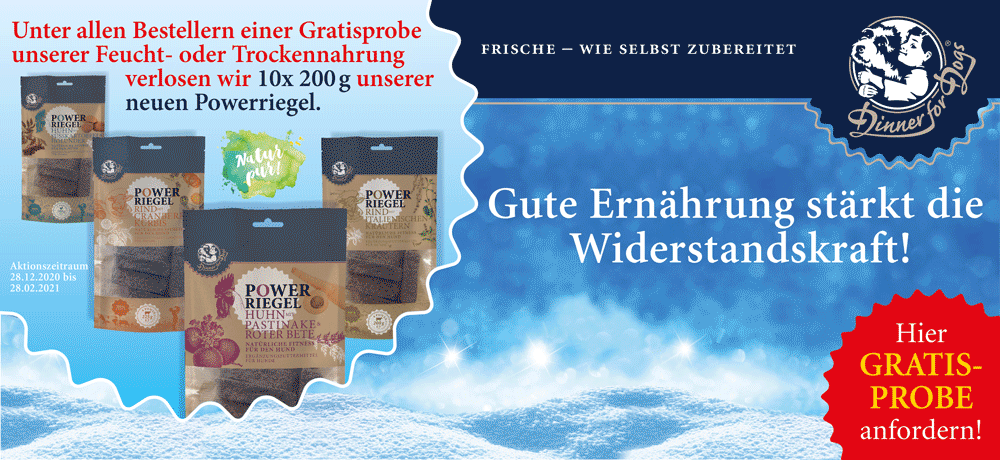 Das Bild zeigt den Header einer aktuellen oder ehemaligen Werbekampagne von Dinner for Dogs