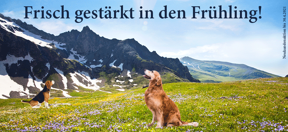 Das Bild zeigt den Header einer aktuellen oder ehemaligen Werbekampagne von Dinner for Dogs