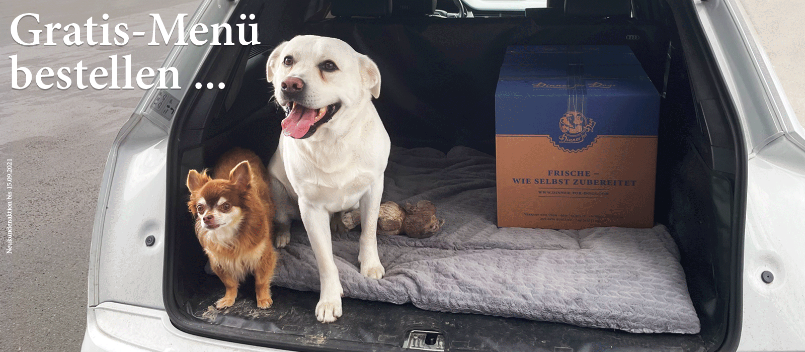 Das Bild zeigt den Header einer aktuellen oder ehemaligen Werbekampagne von Dinner for Dogs