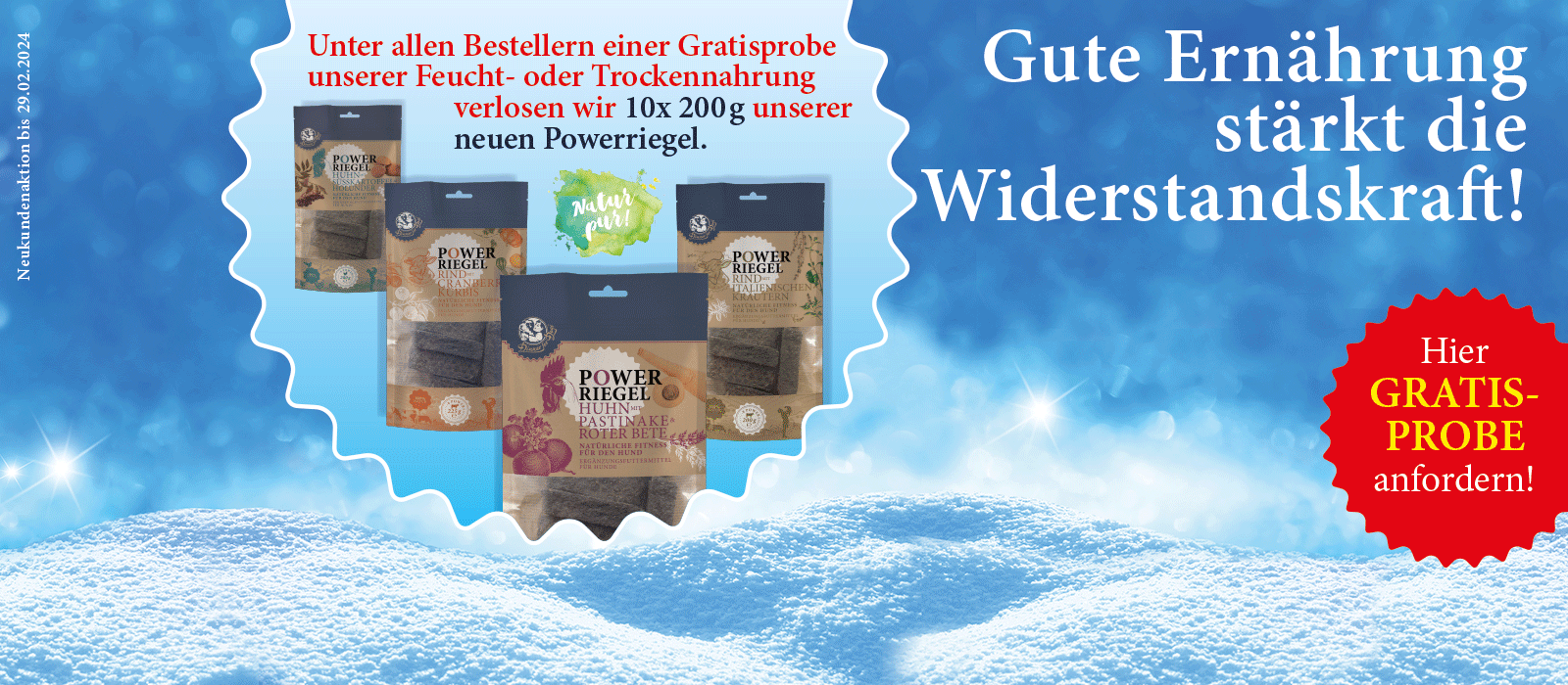 Das Bild zeigt den Header einer aktuellen oder ehemaligen Werbekampagne von Dinner for Dogs