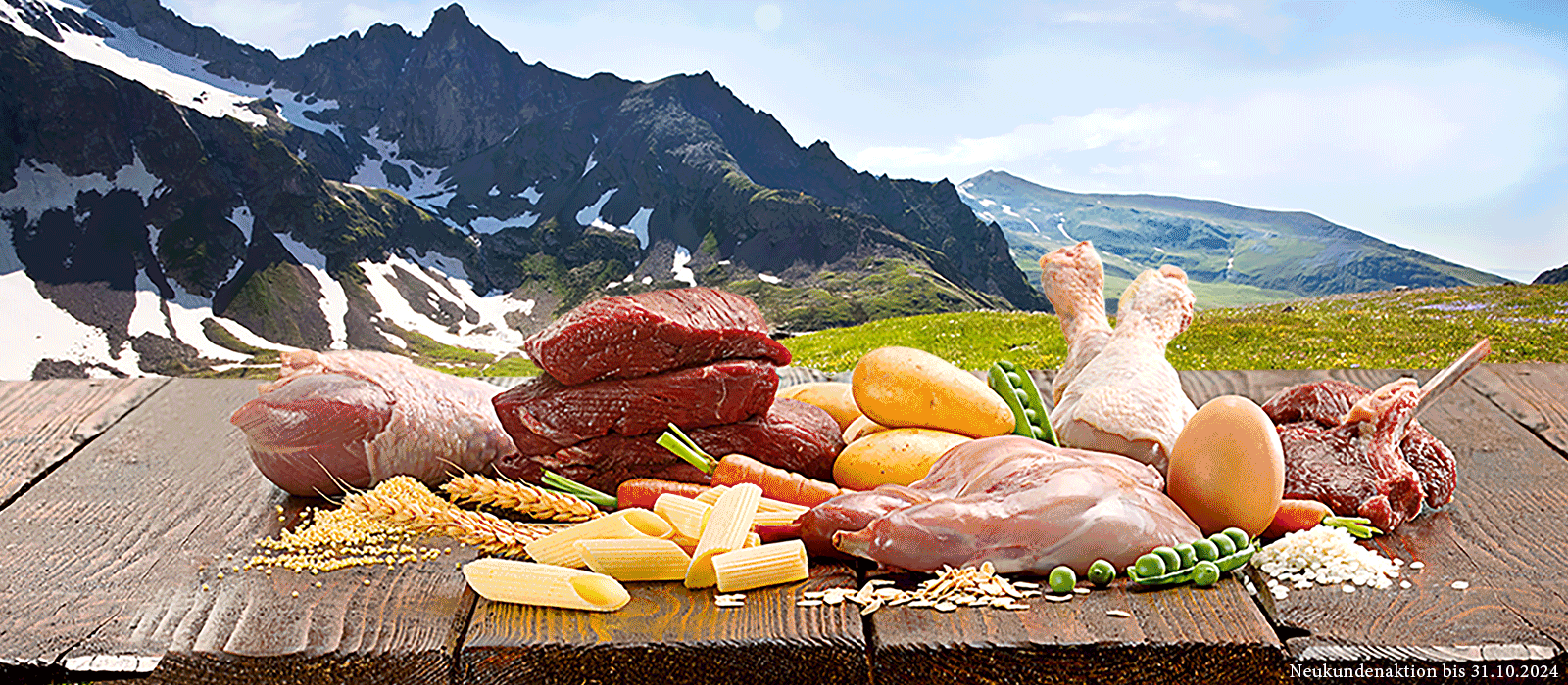 Das Bild zeigt den Header einer aktuellen oder ehemaligen Werbekampagne von Dinner for Dogs