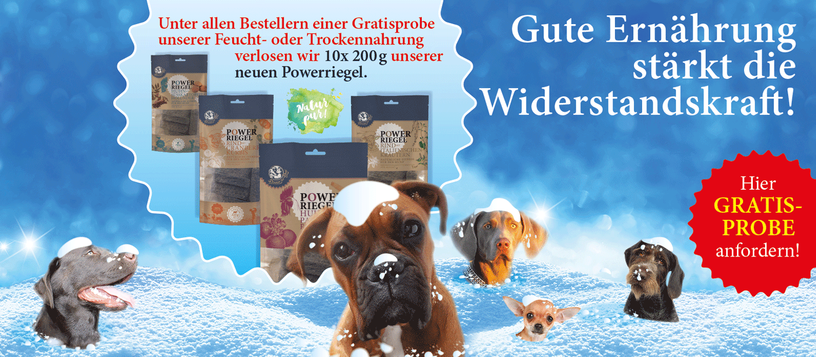 Das Bild zeigt den Header einer aktuellen oder ehemaligen Werbekampagne von Dinner for Dogs