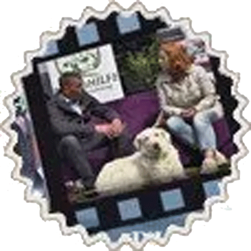 Das Bild zeigt eine Szene Interviewpartner auf der Couch mit Hund