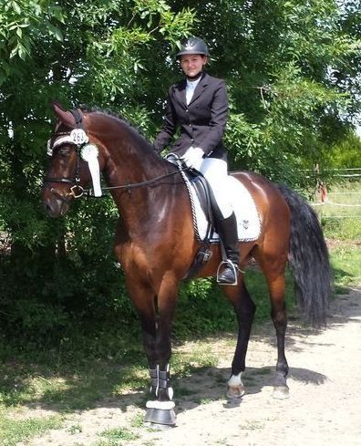 2014 Jenny Lauffen 2014 Jenny Lauffen