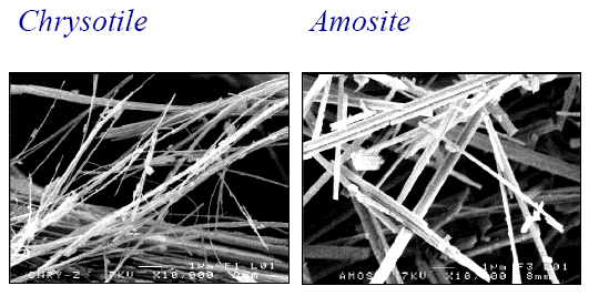 coordination sécurité et protection de la santé, protection santé, sécurité au travail, SPS, blcf83, bruno lecerf, amiante
