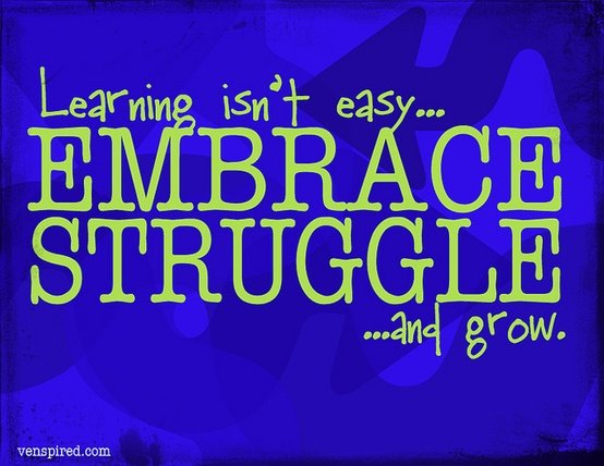 embrace learning struggle