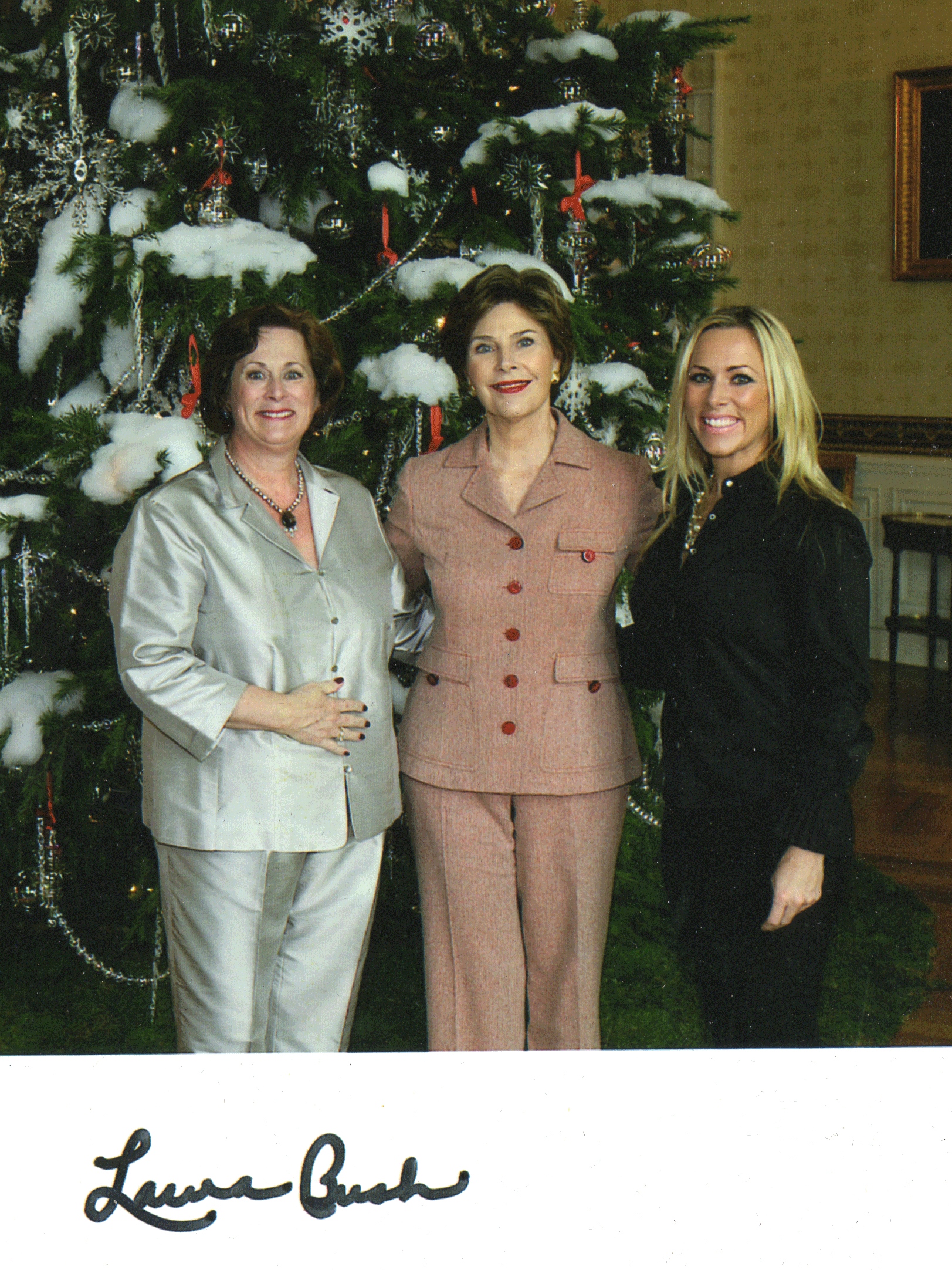 White House Artist, White House Ornament