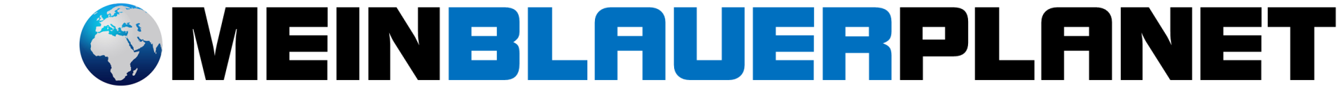 Lesen, Basteln, Schenken Basteln und Schenken mit Phantasie