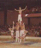 Joey Kelly Tumbling