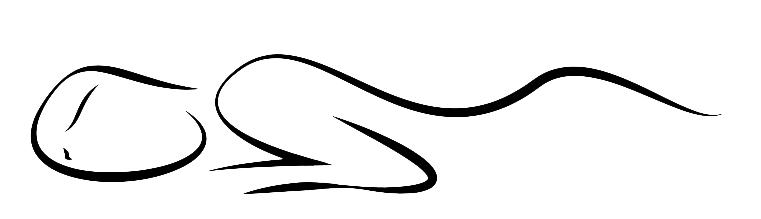 Mobile Massage Mobile Massage