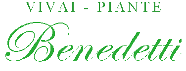 Vivai Benedetti