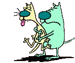 ja.fuenfhaus@gmail.com e-mail adresse link