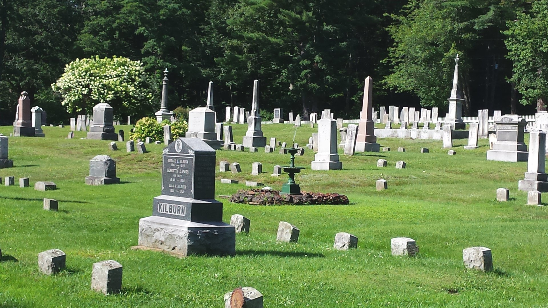 An assortment of tombstones