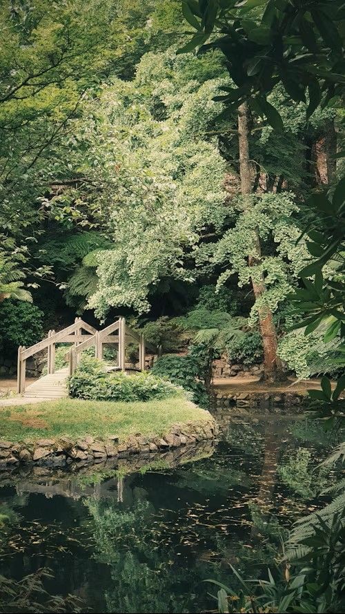 PETITS TRAVAUX DE JARDINAGE ANDOLSHEIM- LES FEES DU RHIN