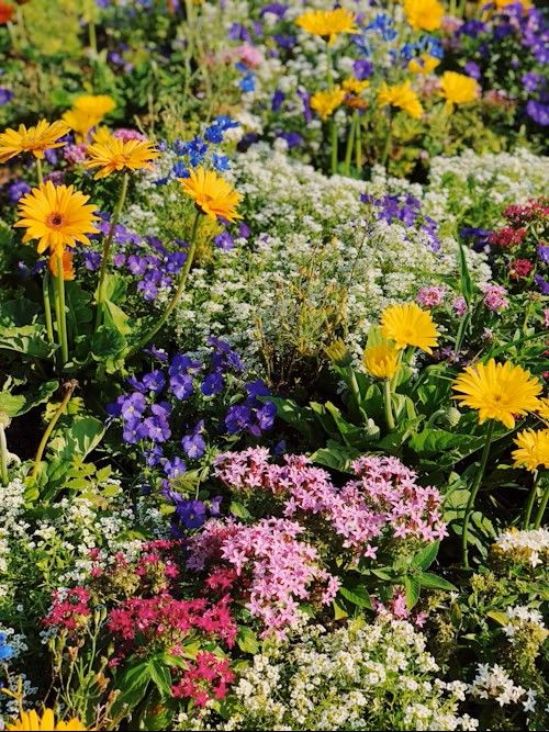 PETITS TRAVAUX DE JARDINAGE APPENWIHR LES FEES DU RHIN