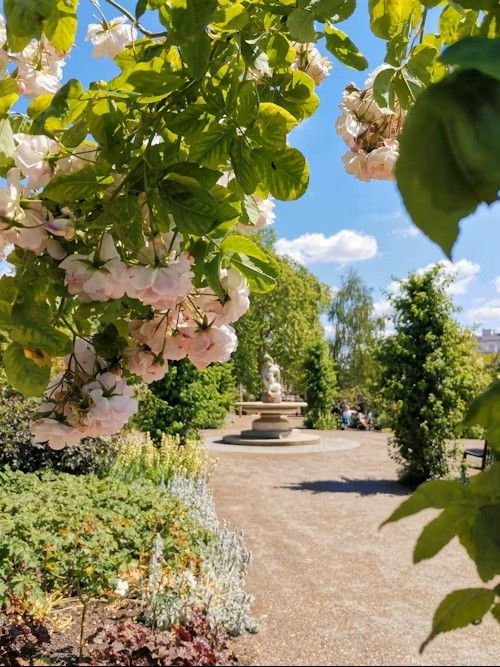 un jardinier qui taille une haie dans un jardin fleurit