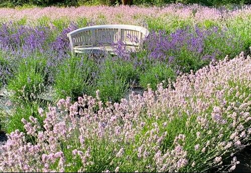 PETITS TRAVAUX DE JARDINAGE-NEUF BRISACH-LES-FEES-DU-RHIN