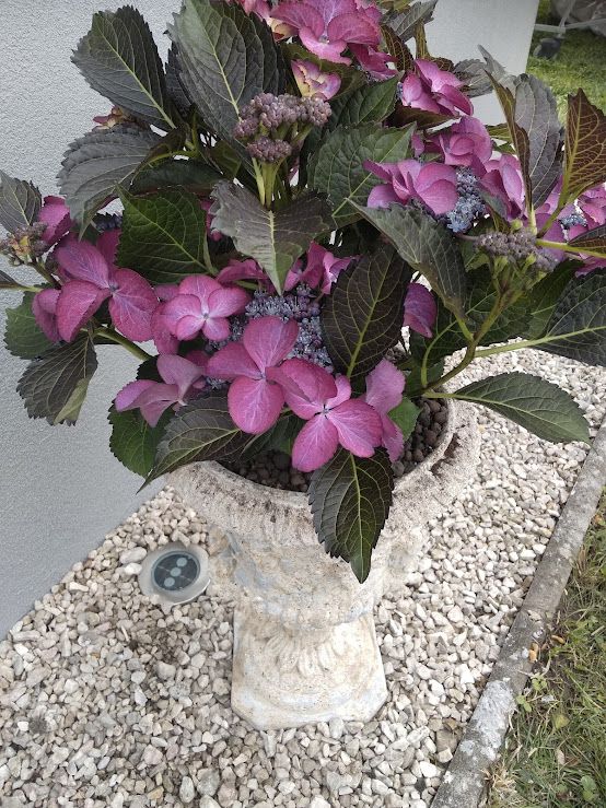 PETITS TRAVAUX DE JARDINAGE-VOGELGRUN-LES-FEES-DU-RHIN