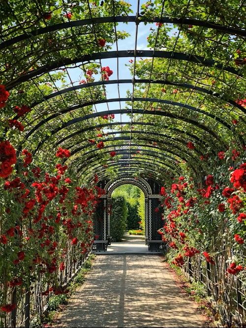 PETITS TRAVAUX DE JARDINAGE-WECKOLSHEIM-LES-FEES-DU-RHIN