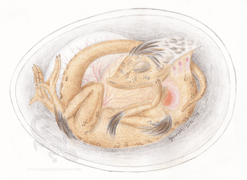 Traditionelle Kunst Traditionelle Kunst