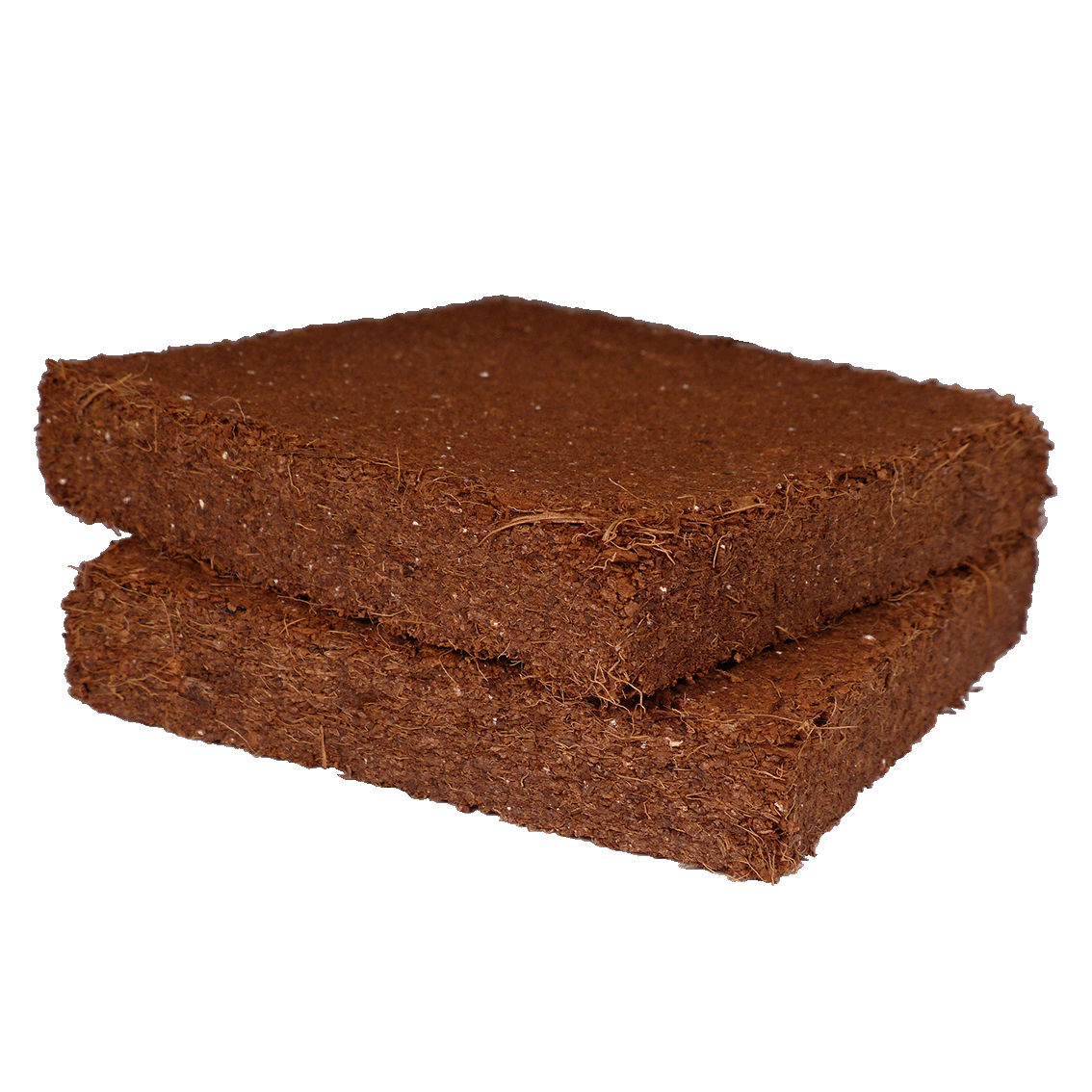 Copyright: Ralph Schill Naturentdecker Kokossubstrat