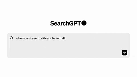 Search GPT, moteur de recherche d'OPEN AI Search GPT, moteur de recherche d'OPEN AI