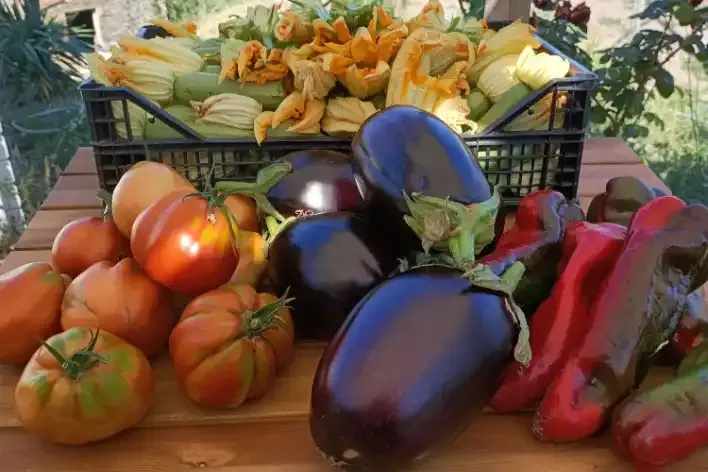 I nostri ortaggi genuini