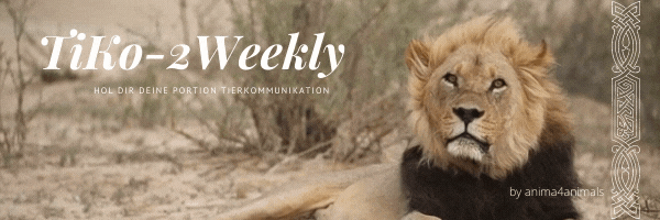 Hol Dir Deine Portion Tierkommunikation TiKo-2Weekly